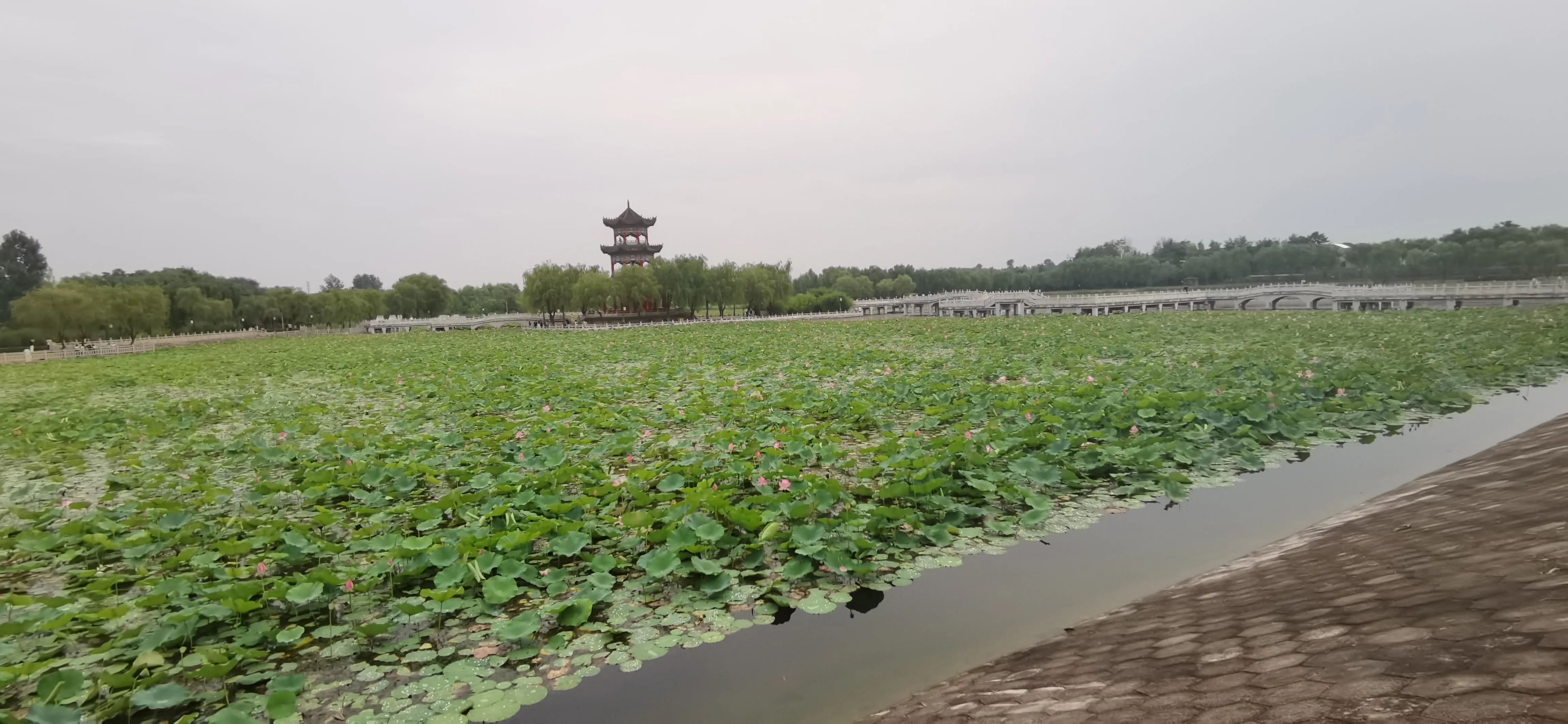 凤鸣湖